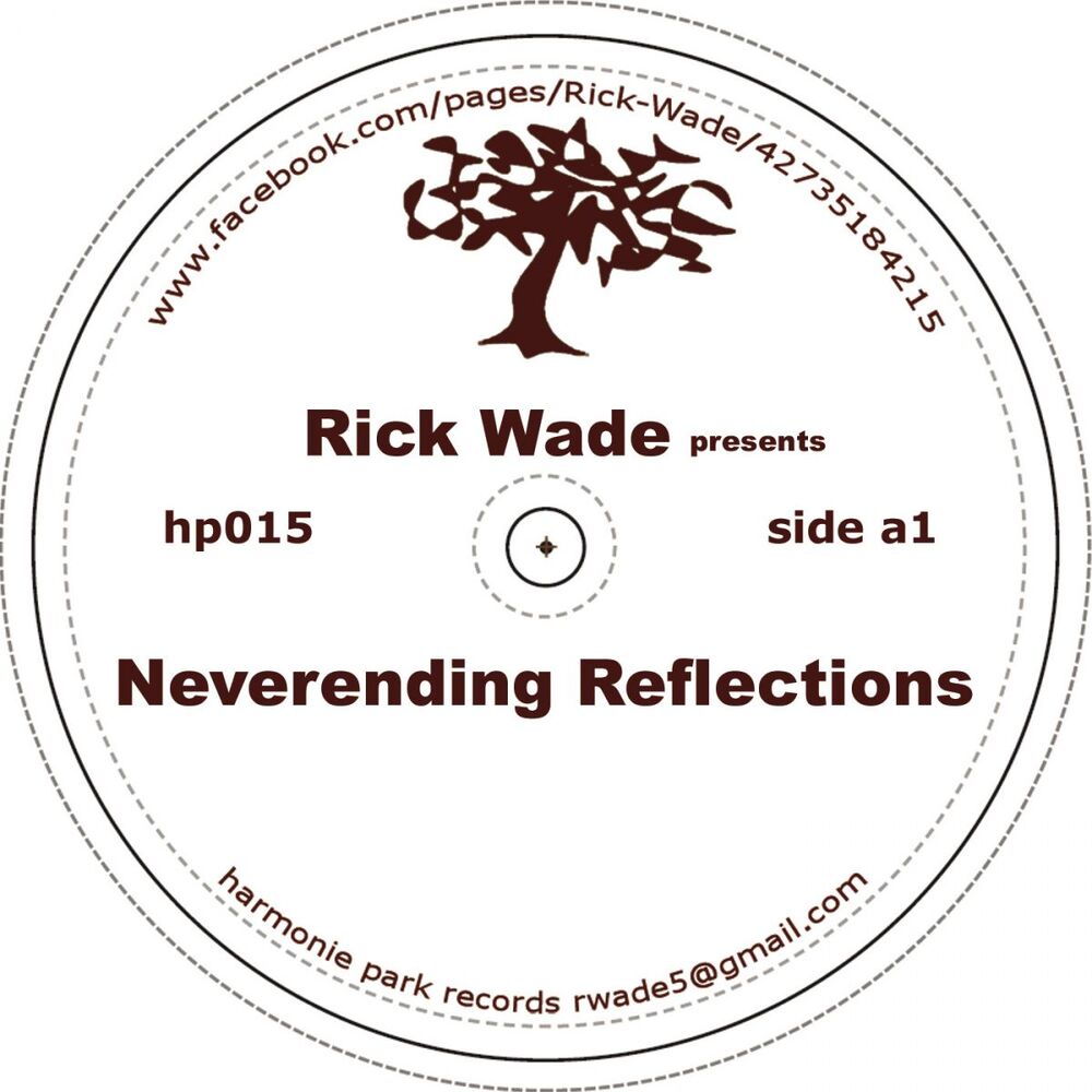 Picture of Never Ending Reflections