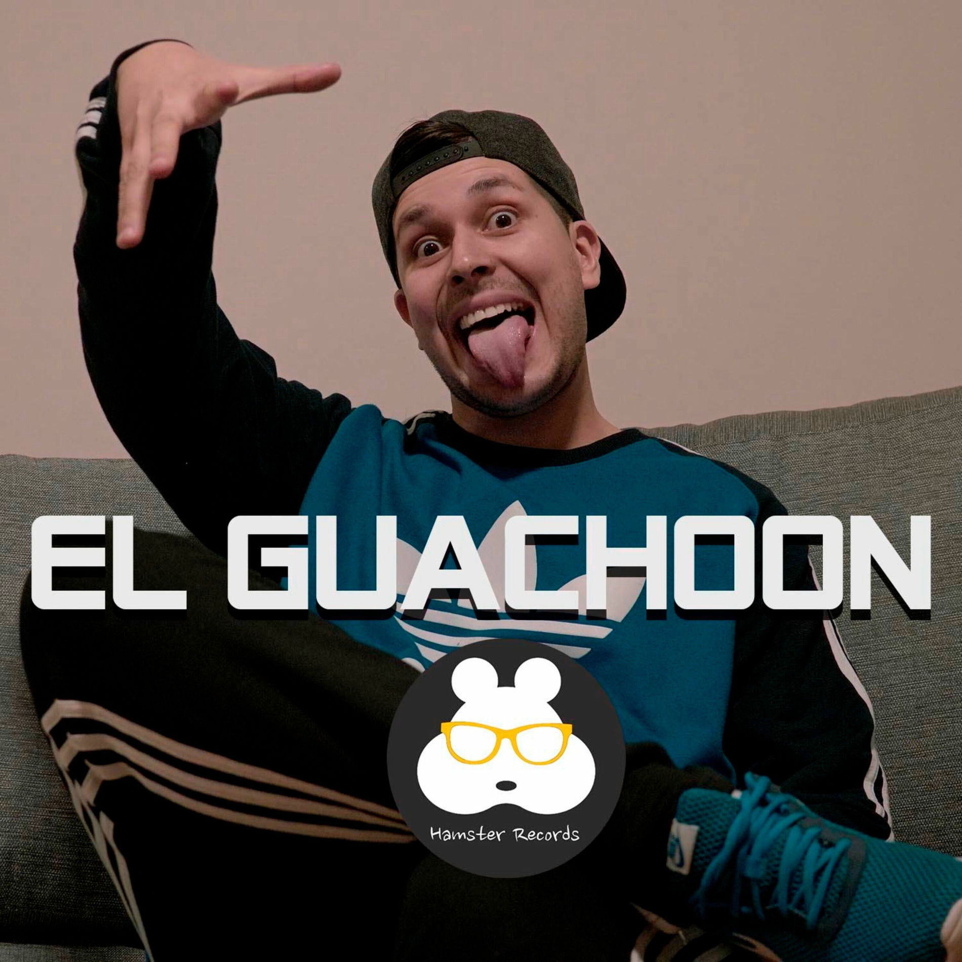 Album cover of TEMAZOS