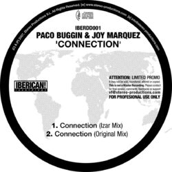 Cover of Connection