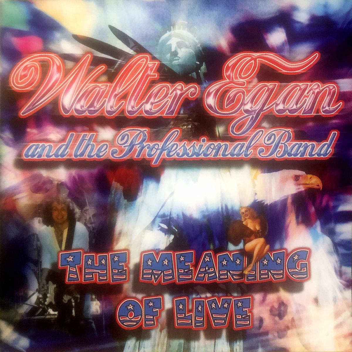 Album cover of Magnet And Steel
