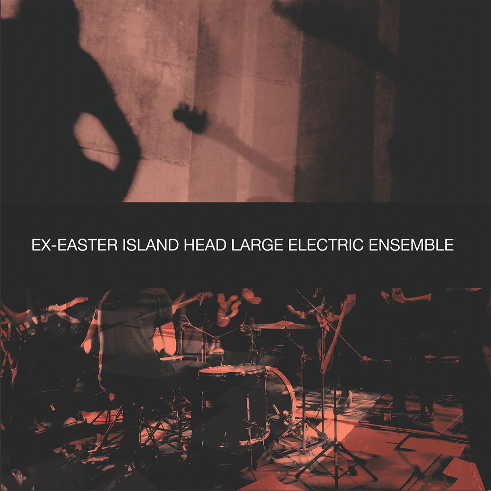 Picture of Large Electric Ensemble