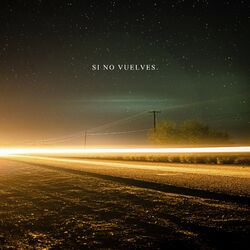 Cover of Si No Vuelves