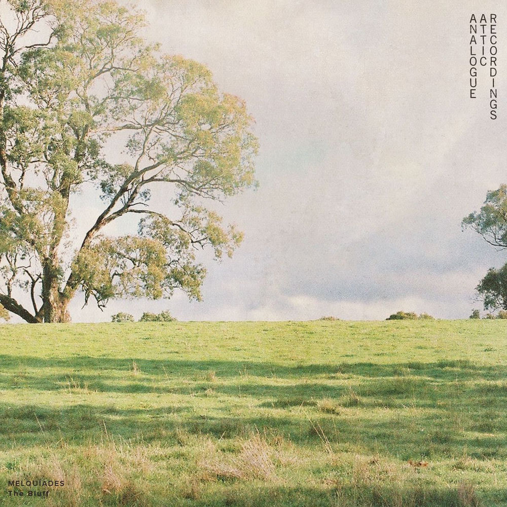 Album artwork for The Bluff by Alex Albrecht