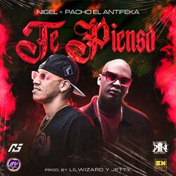 Cover of Te Pienso