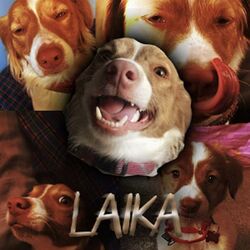 Laika