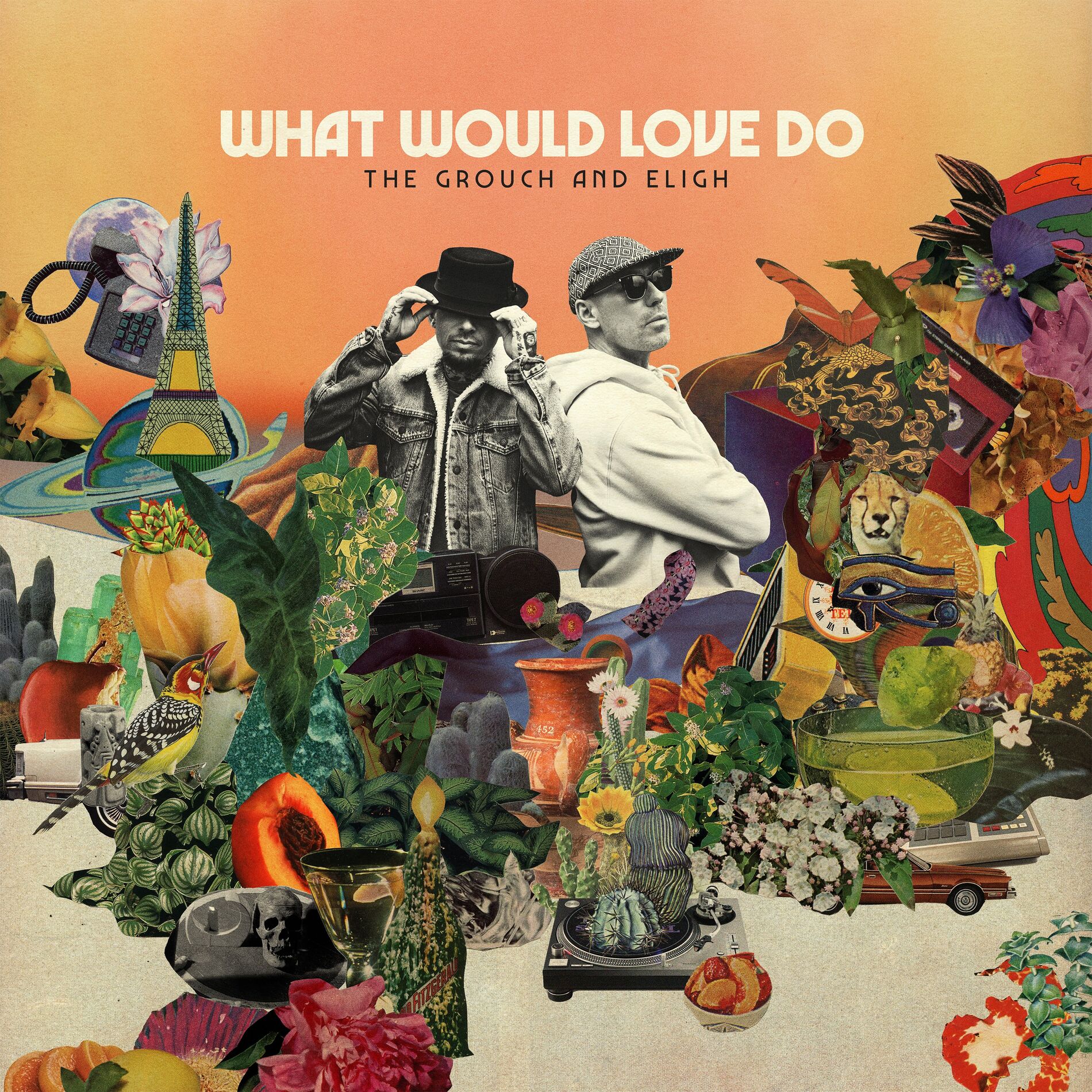Album cover of What Would Love Do