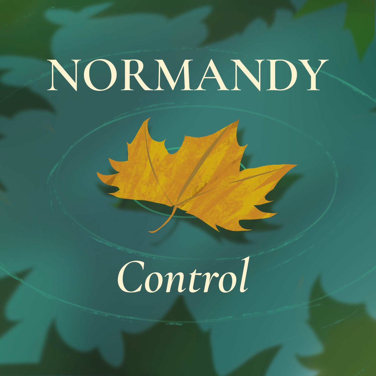 Album cover of Control