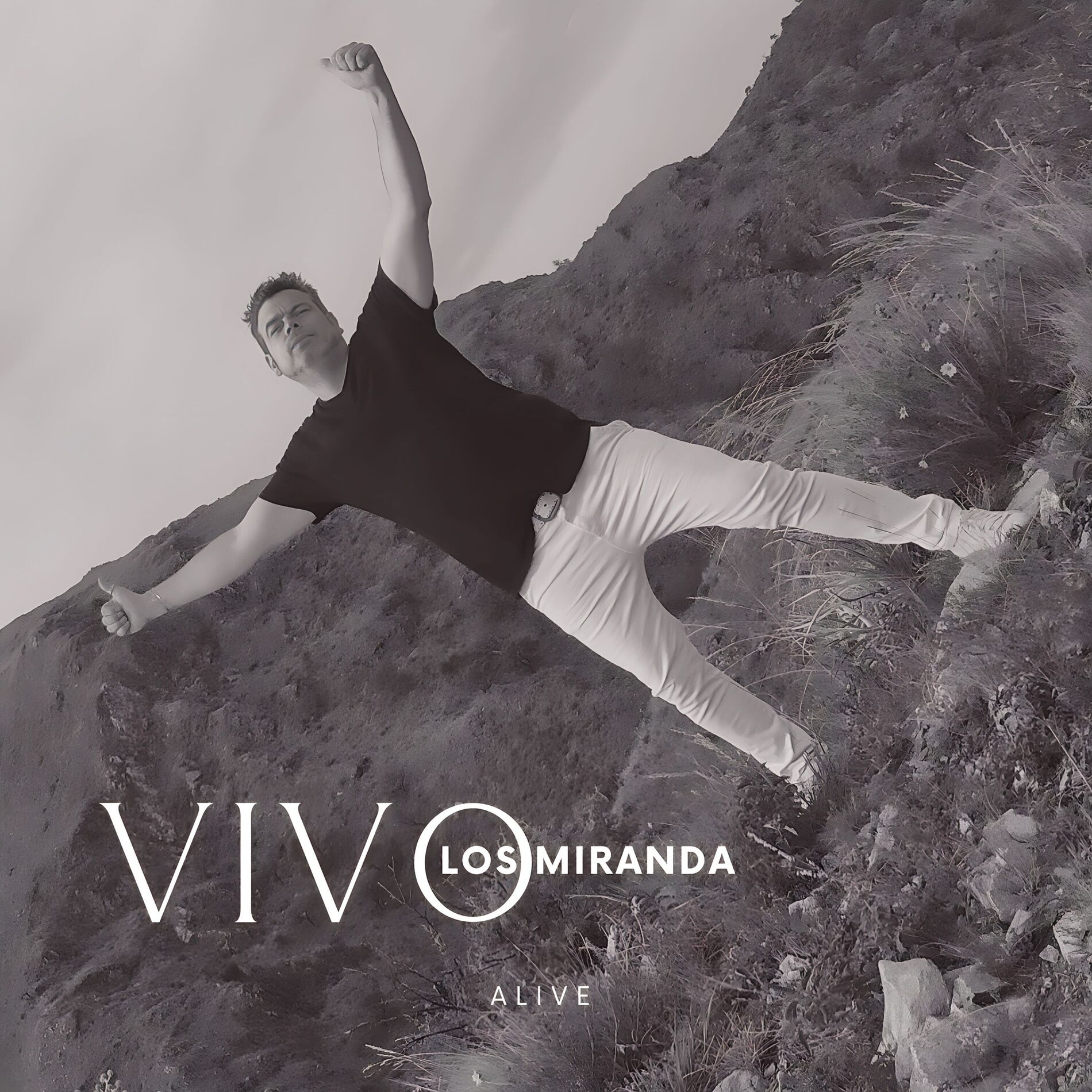 Album cover of Vivo