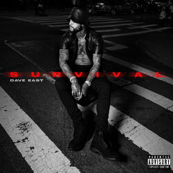 Cover of Survival