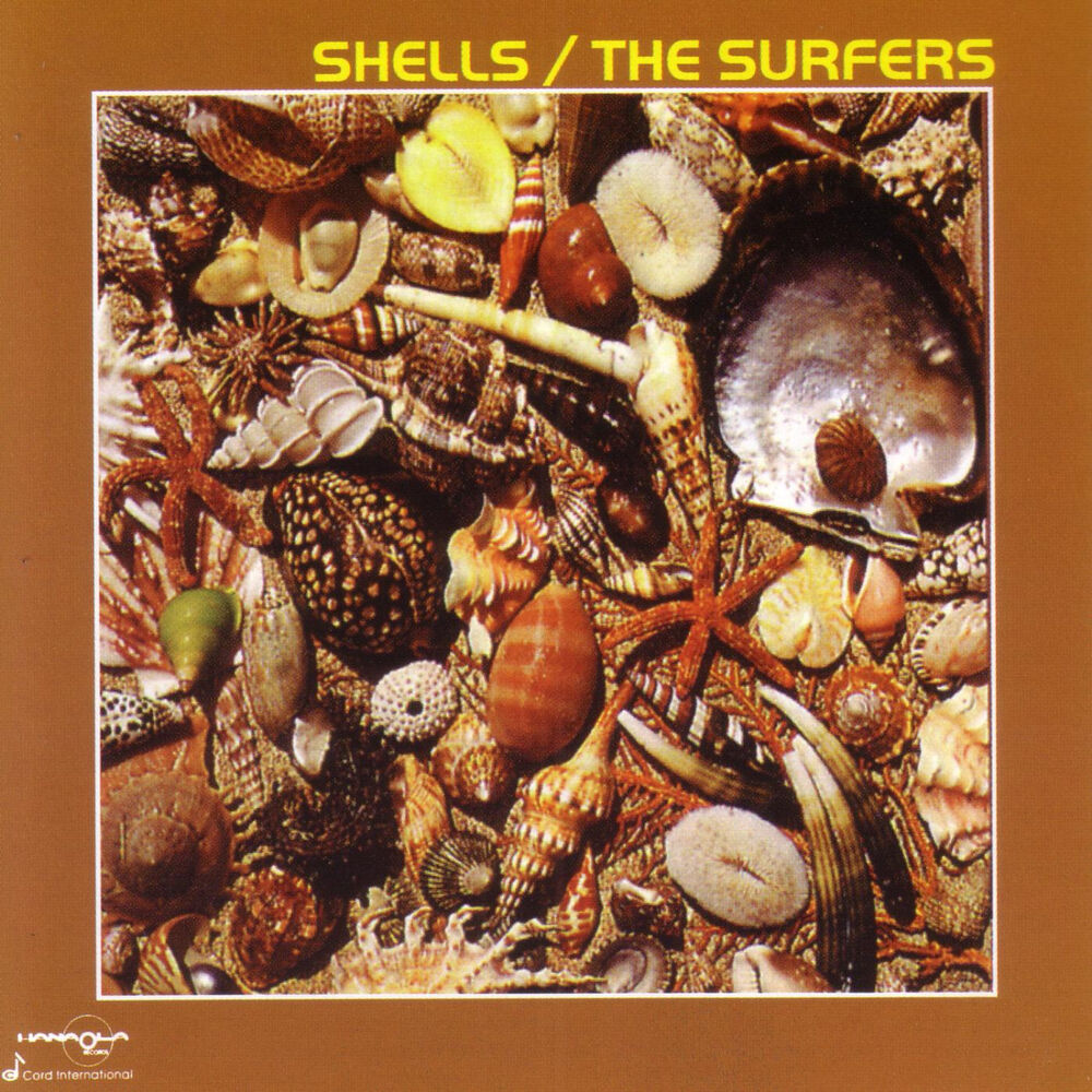 Picture of Shells / The Surfers