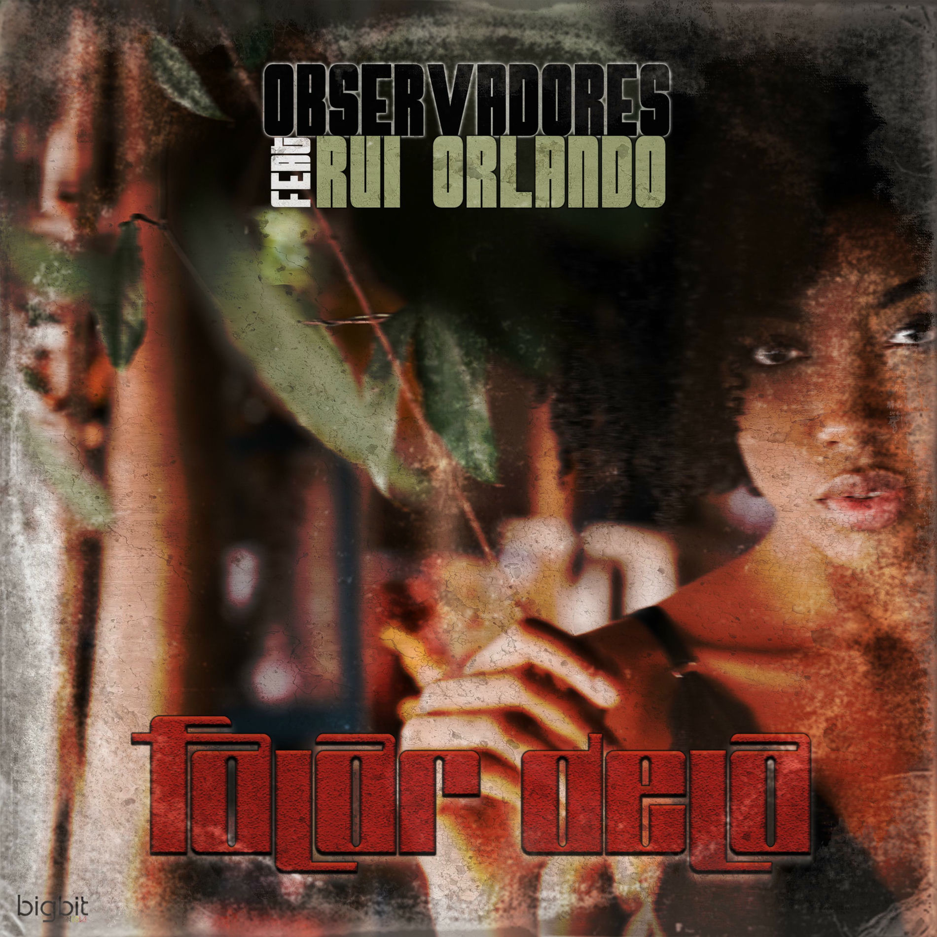 Album cover of Falar Dela (feat. Rui Orlando)