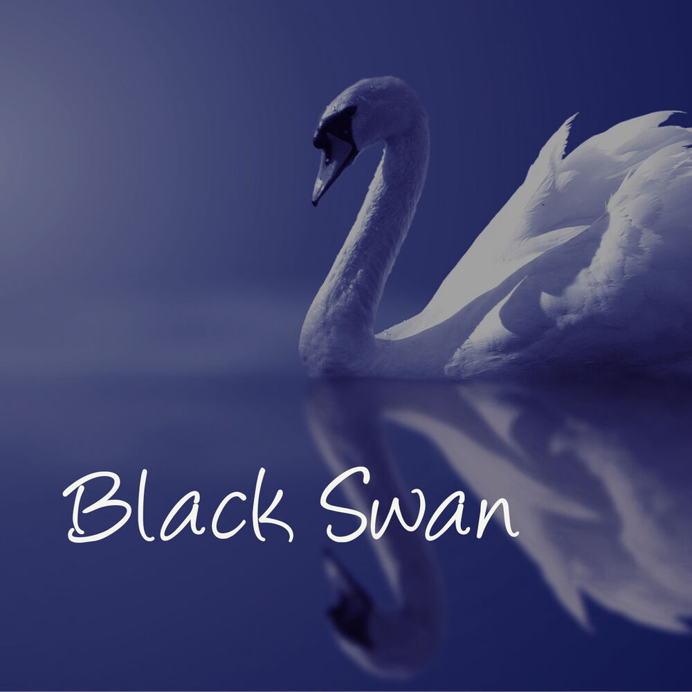 Picture of Black Swan – Instrumental Music, Classical Music Lounge Version, Piano Songs & Lounge Music Selection