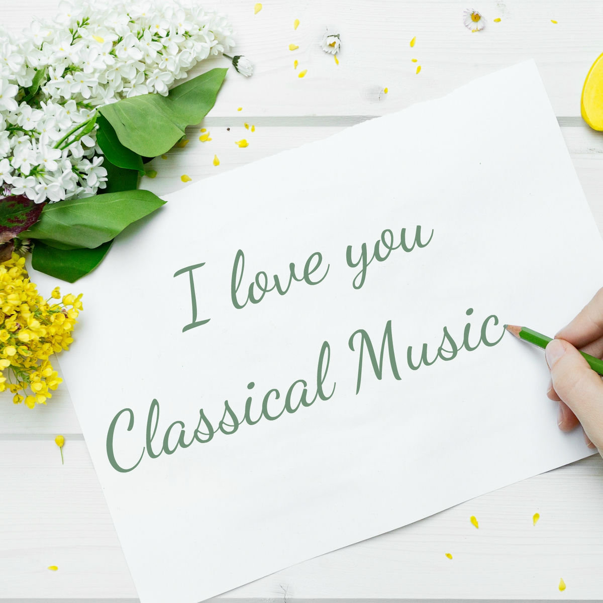 Album cover of I love you Classical Music