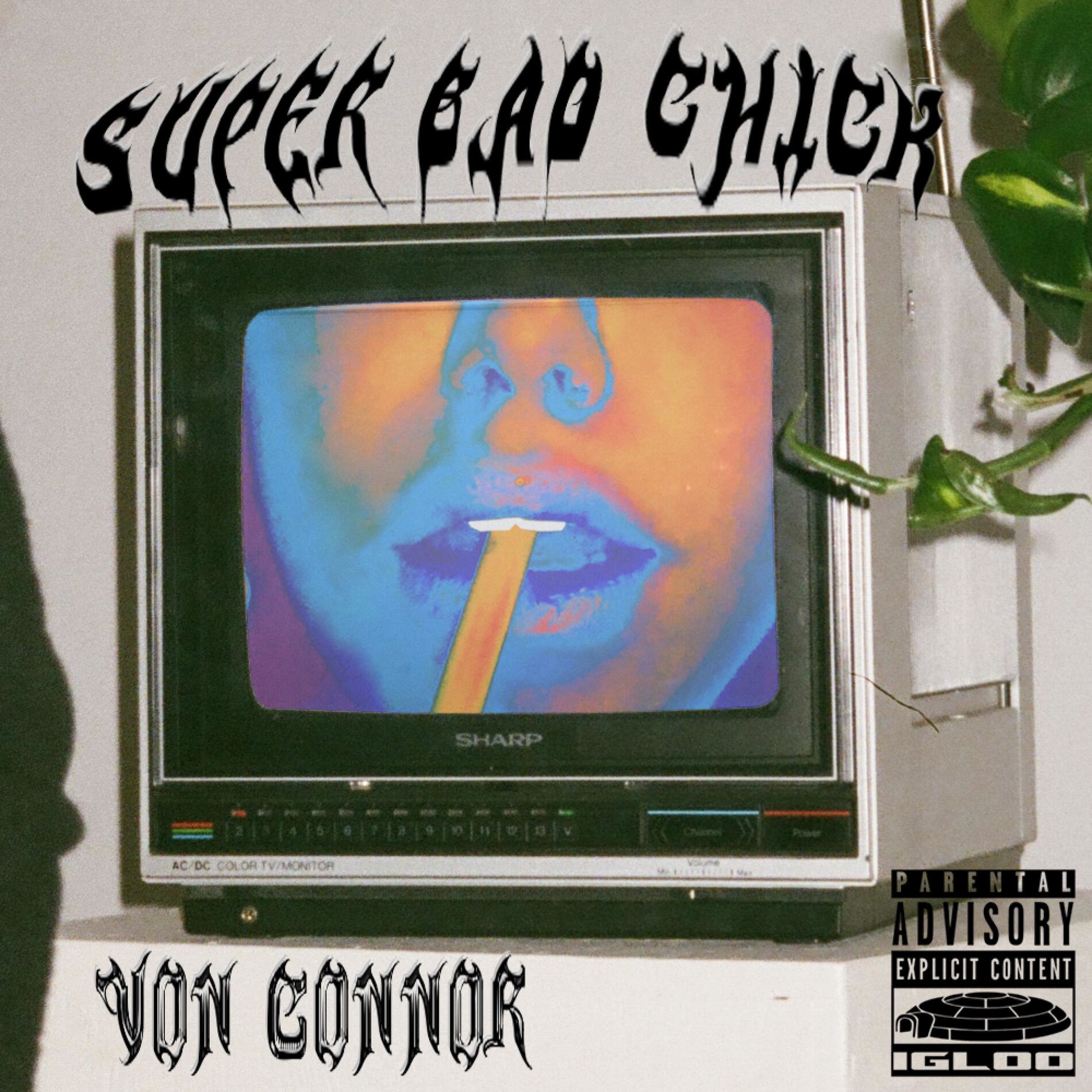 Album cover of Super Bad Chick