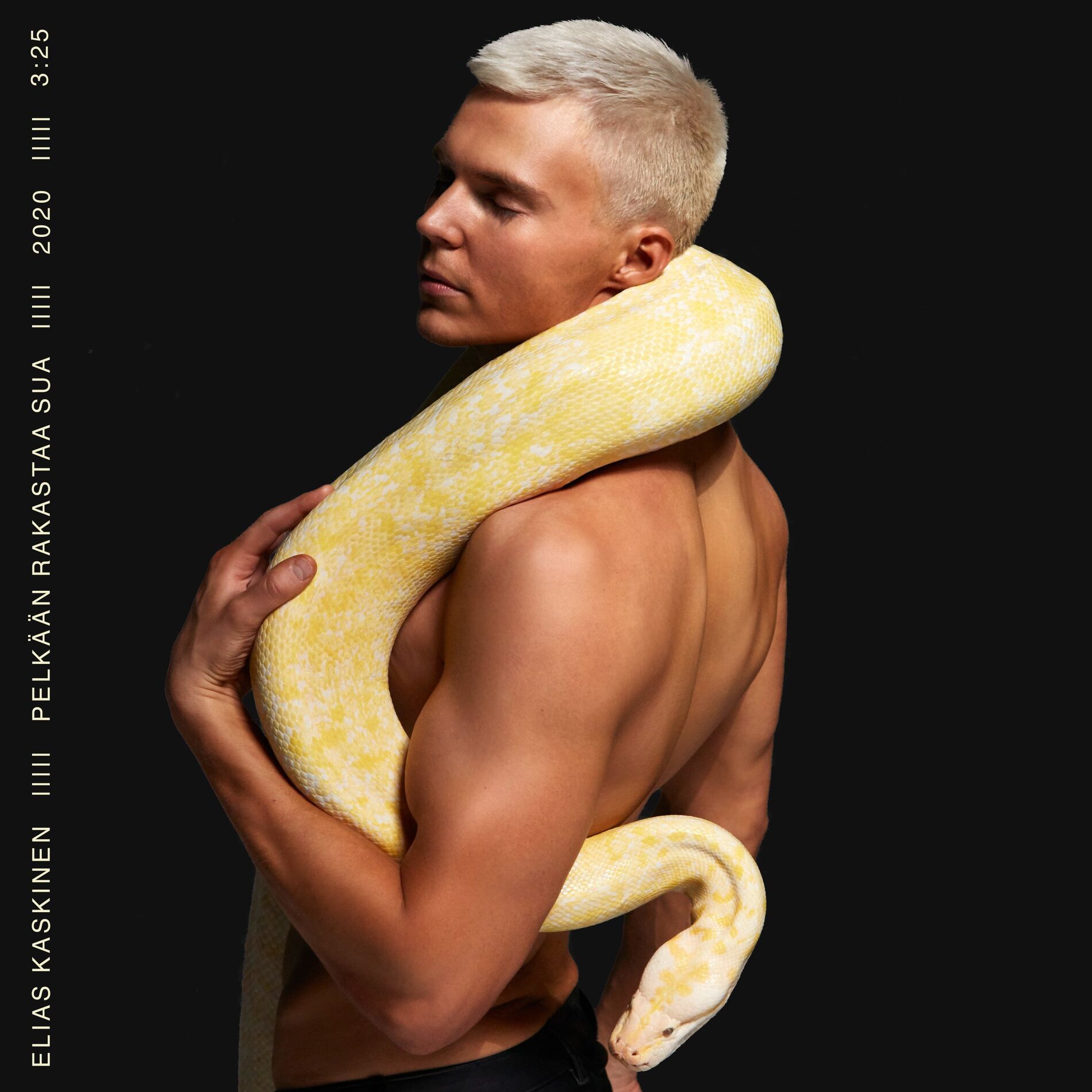 Album cover of Pelkään rakastaa sua