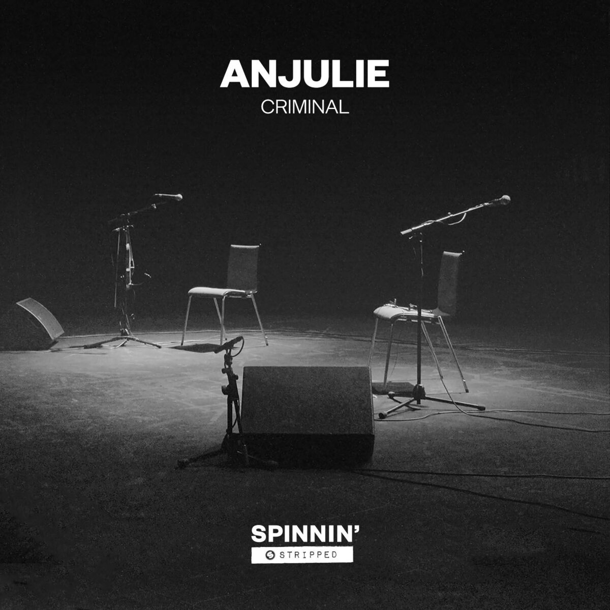 Album cover of Criminal