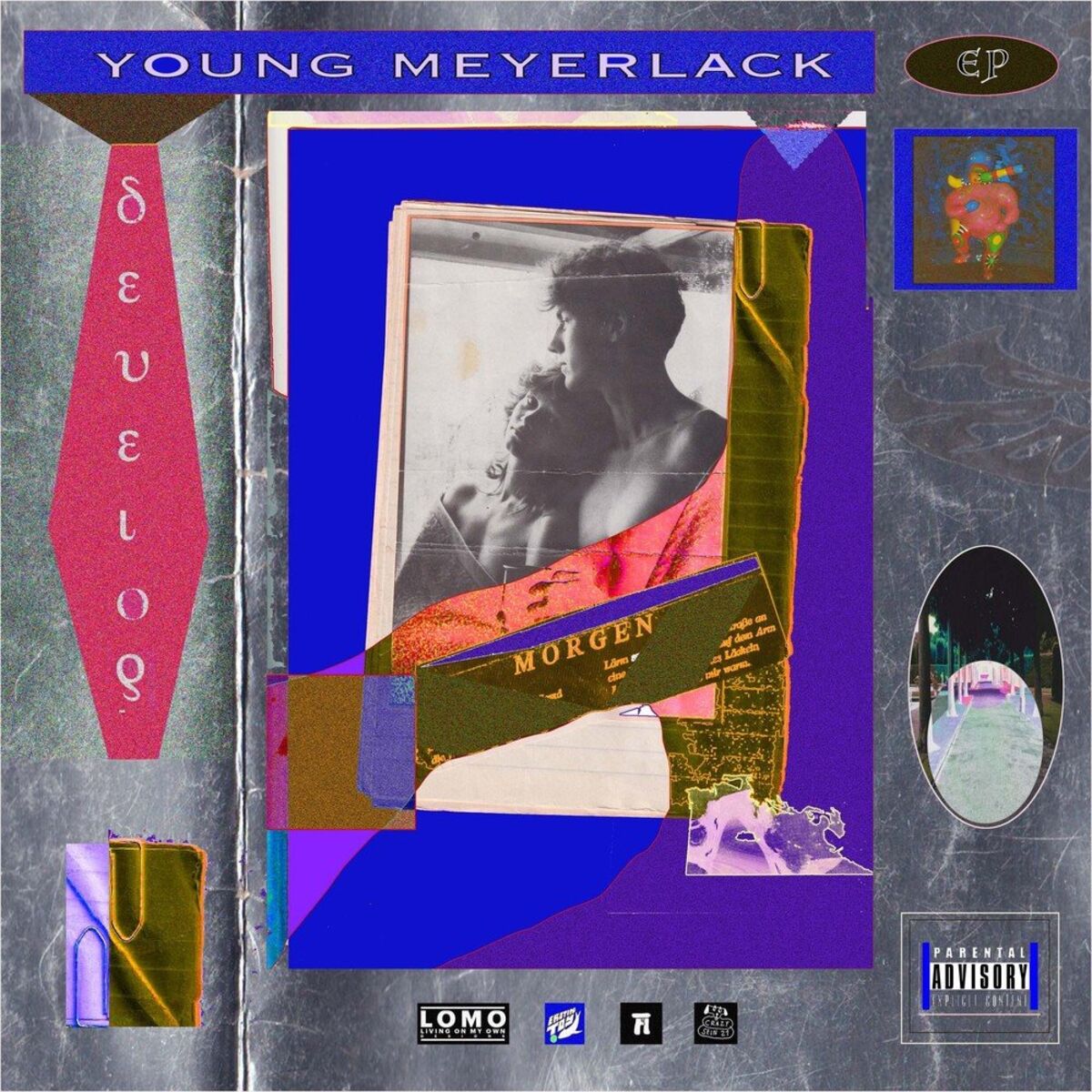 Album cover of Develop
