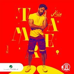 Cover of Aashaangy