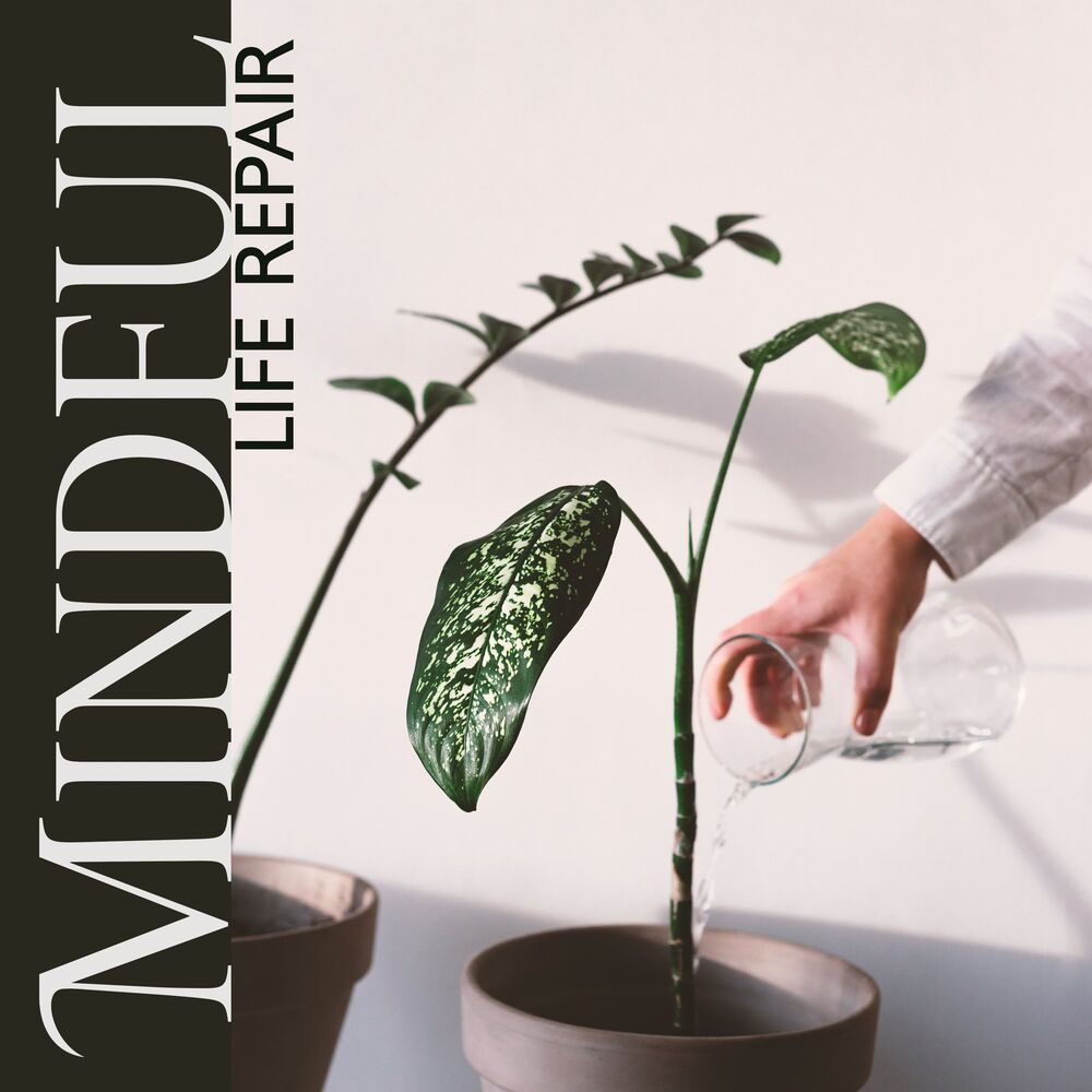 Picture of Mindful Life Repair: 216 Hz Healing Sound Therapy & Manifestation of Positive Change