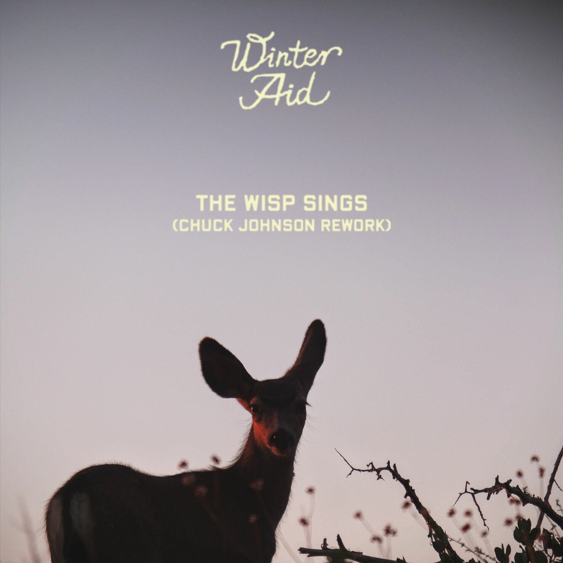 Album cover of The Wisp Sings (Chuck Johnson Rework)