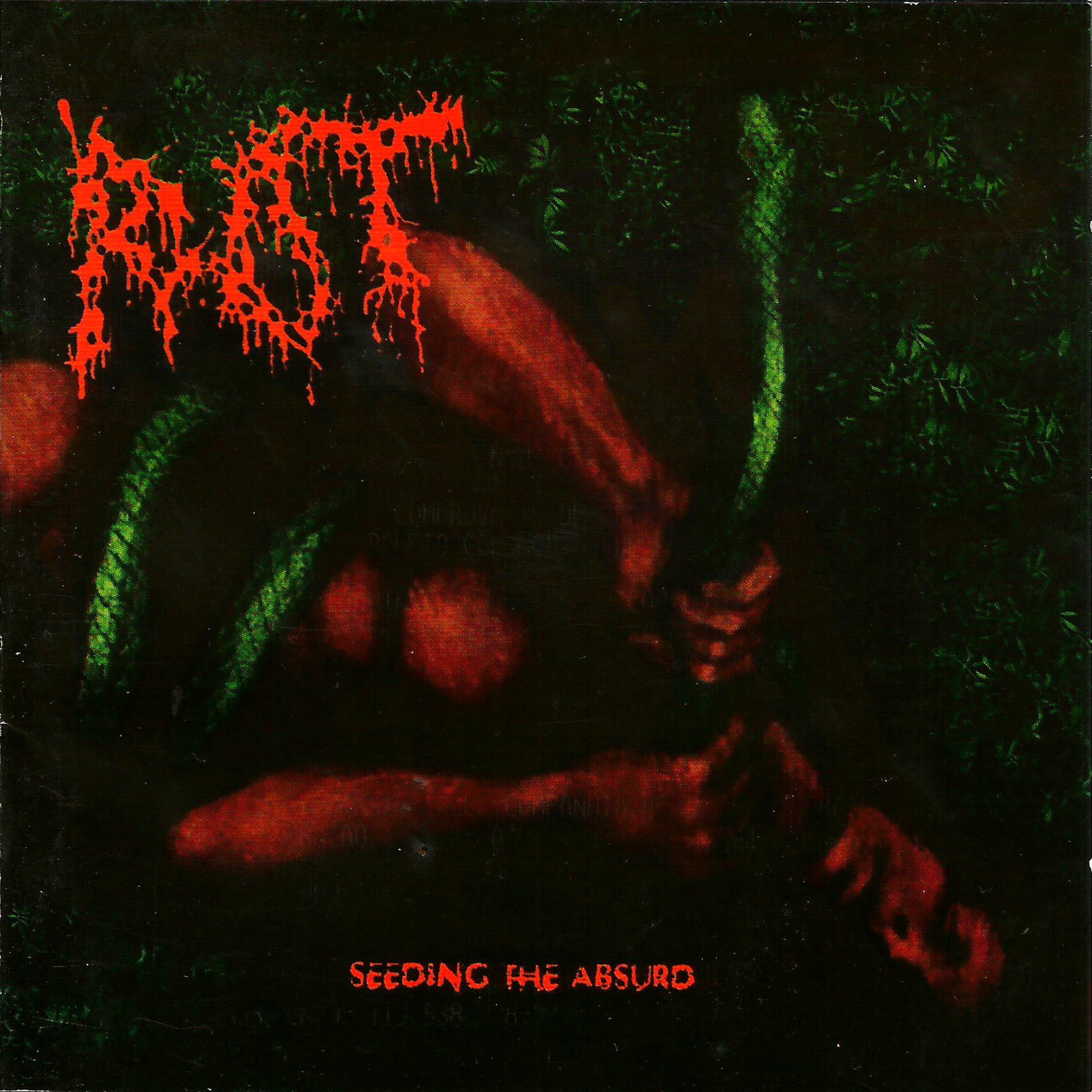 Album cover of Back to the Punk Days