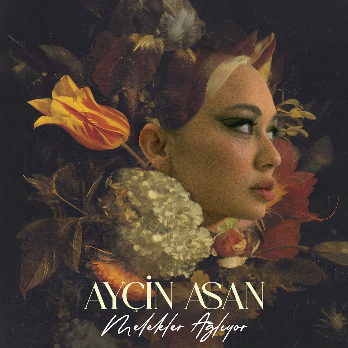 Album cover of Melekler Ağlıyordu