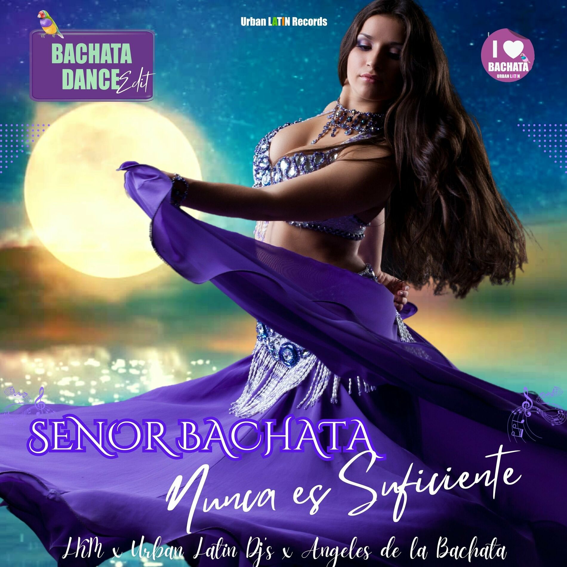 Album cover of Nunca es Suficiente (Bachata Urbana)