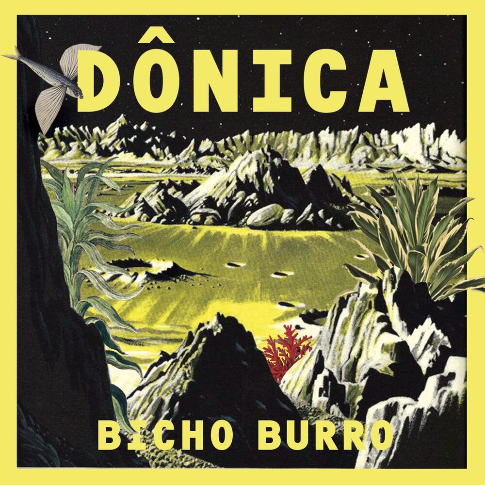 Picture of Bicho Burro