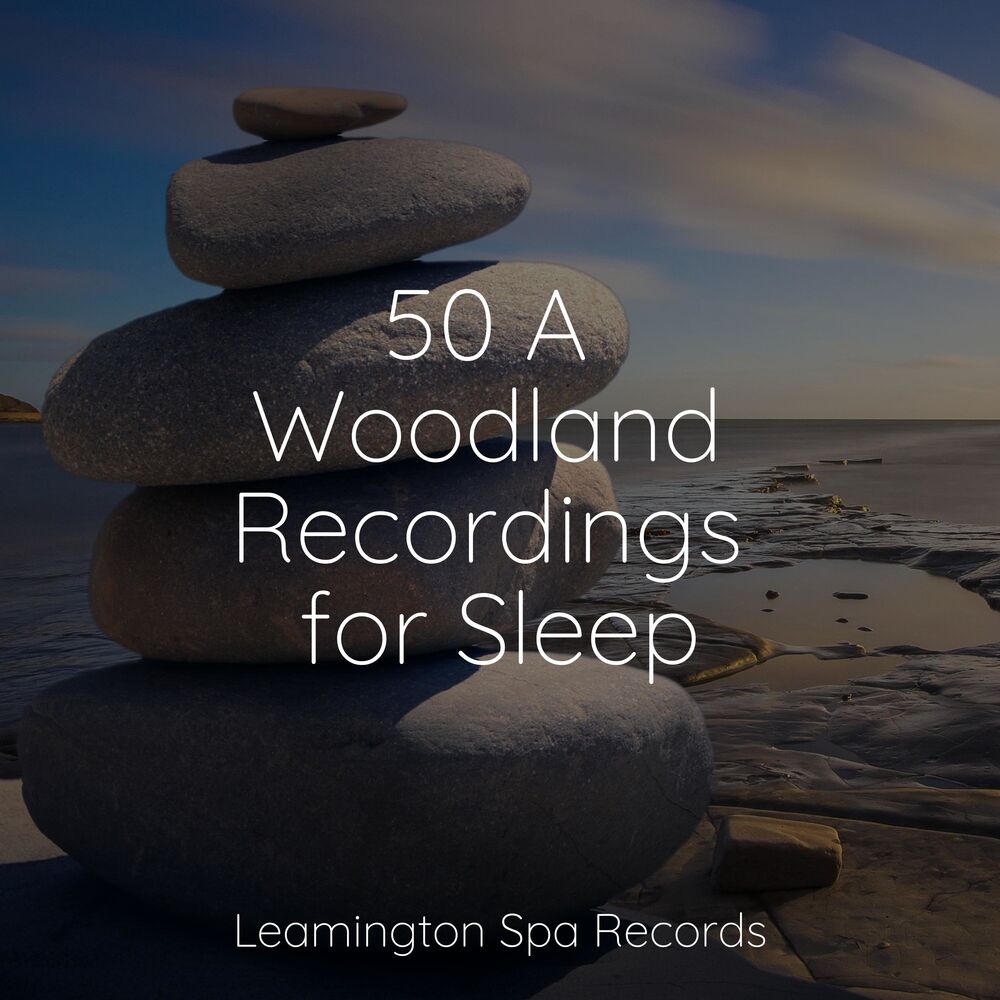 Picture of 50 A Woodland Recordings for Sleep