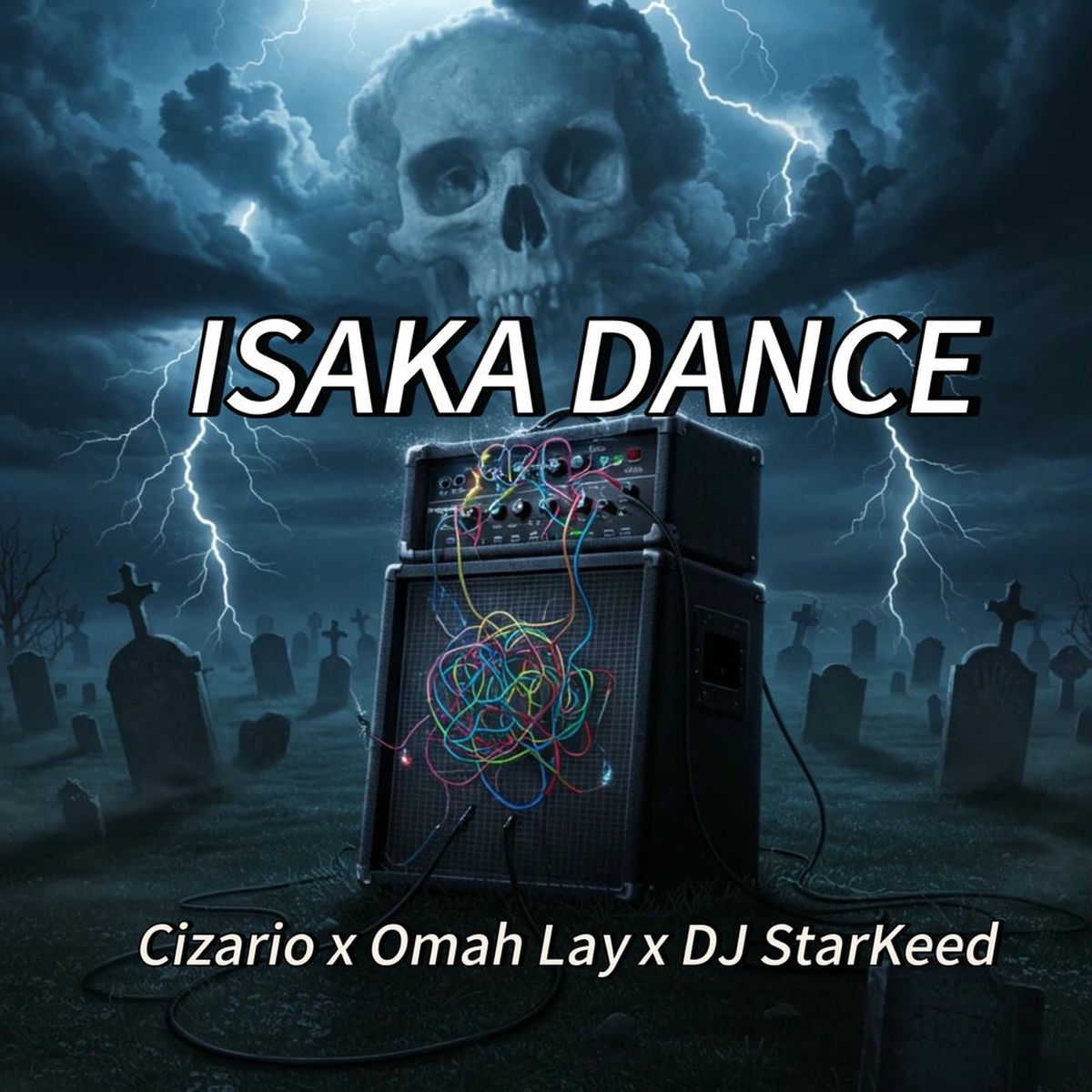 Album cover of Isaka Dance