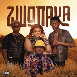 Cover of Zwonaka