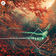 Psalm by Axian album cover