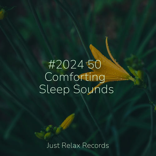 #2024 50 Comforting Sleep Sounds