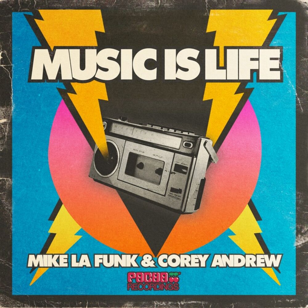Picture of Music Is Life