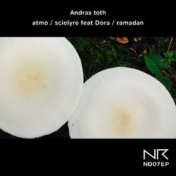 Cover of ND07EP