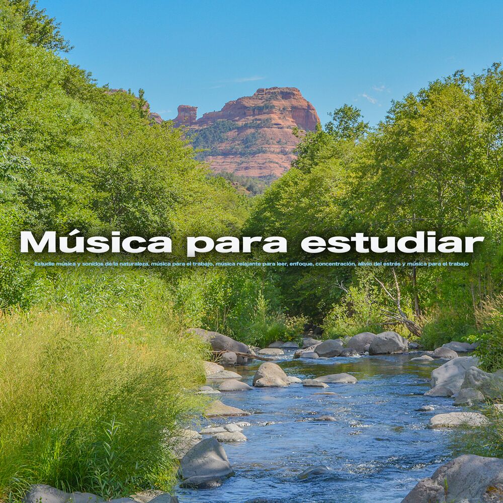 Picture of Música para estudiar: Estudie música y sonidos de la naturaleza, música para el trabajo, música relajante para leer, enfoque, conc
