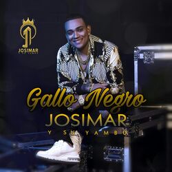 Cover of Gallo Negro
