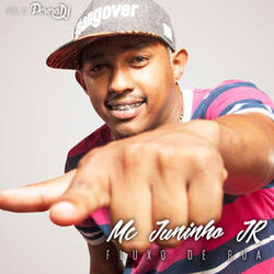 Cover of Fluxo de Rua