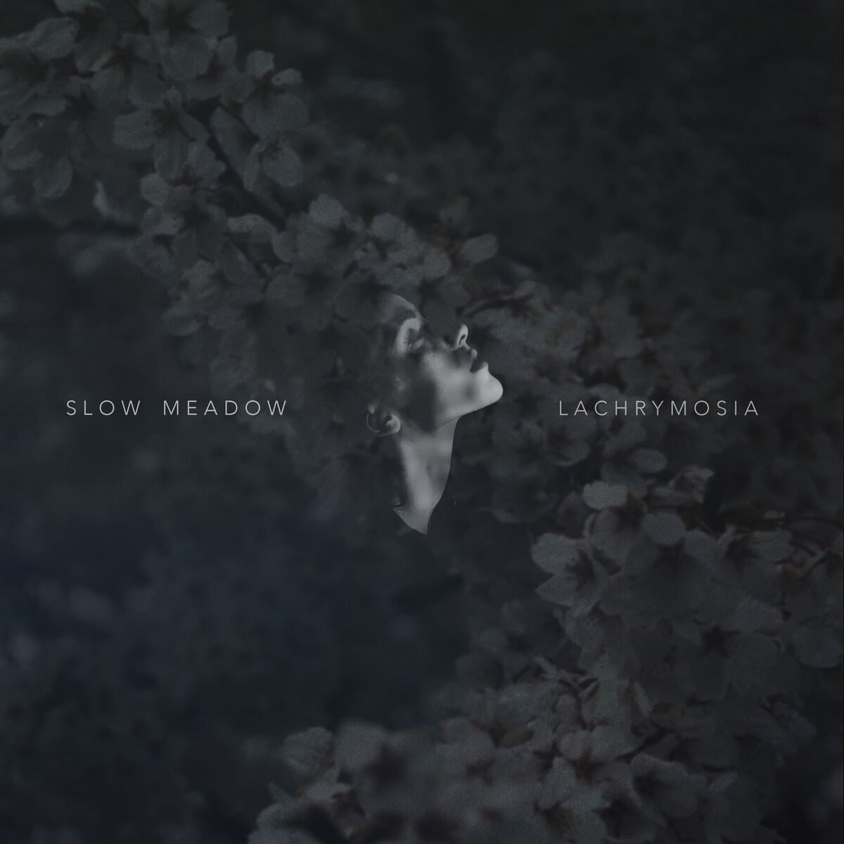 Album cover of Lachrymosia