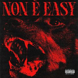 Cover of Non è Easy