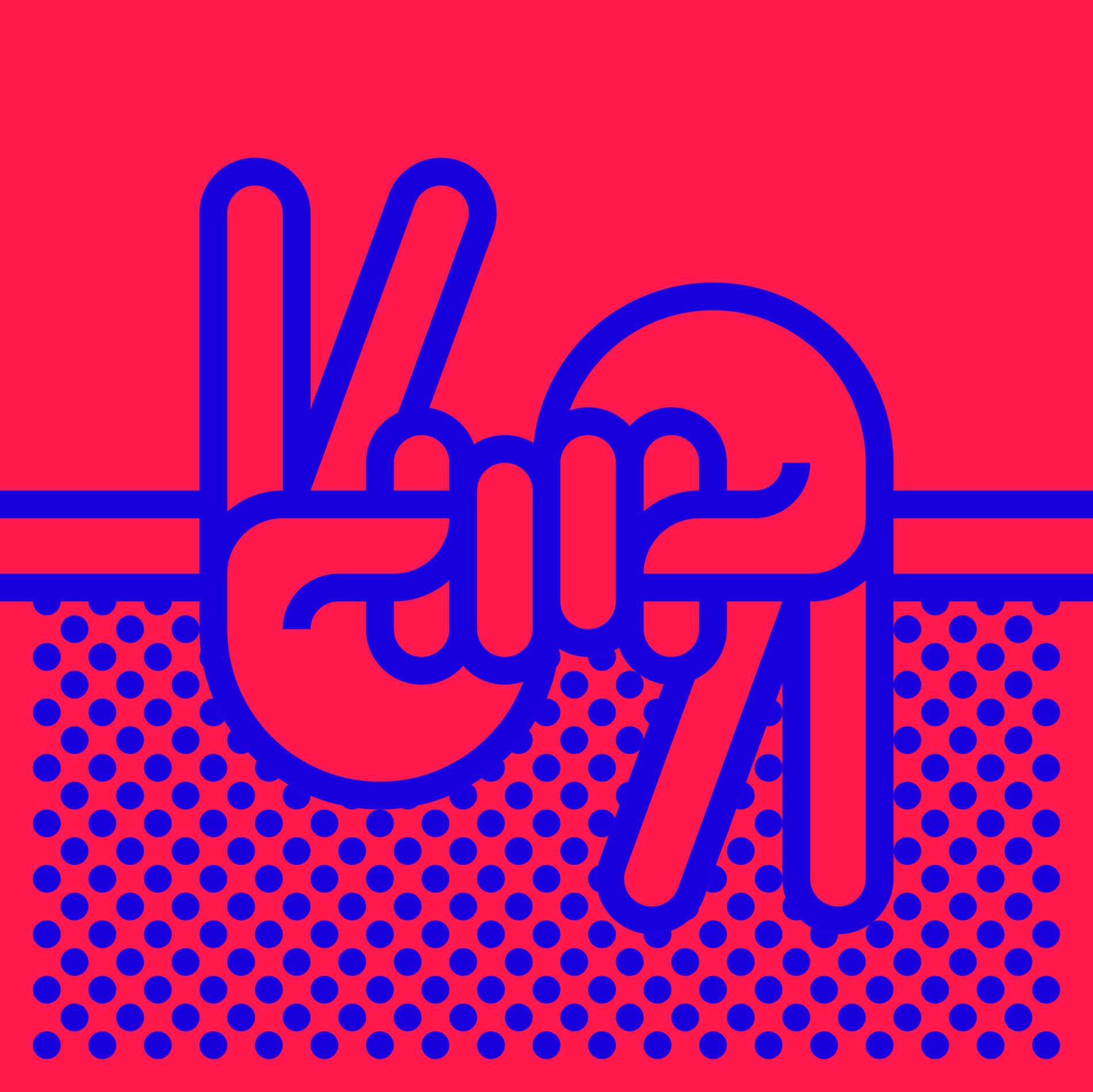 Album cover of Nie Raj