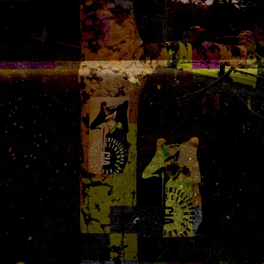 Picture of 2 songs after 4 years