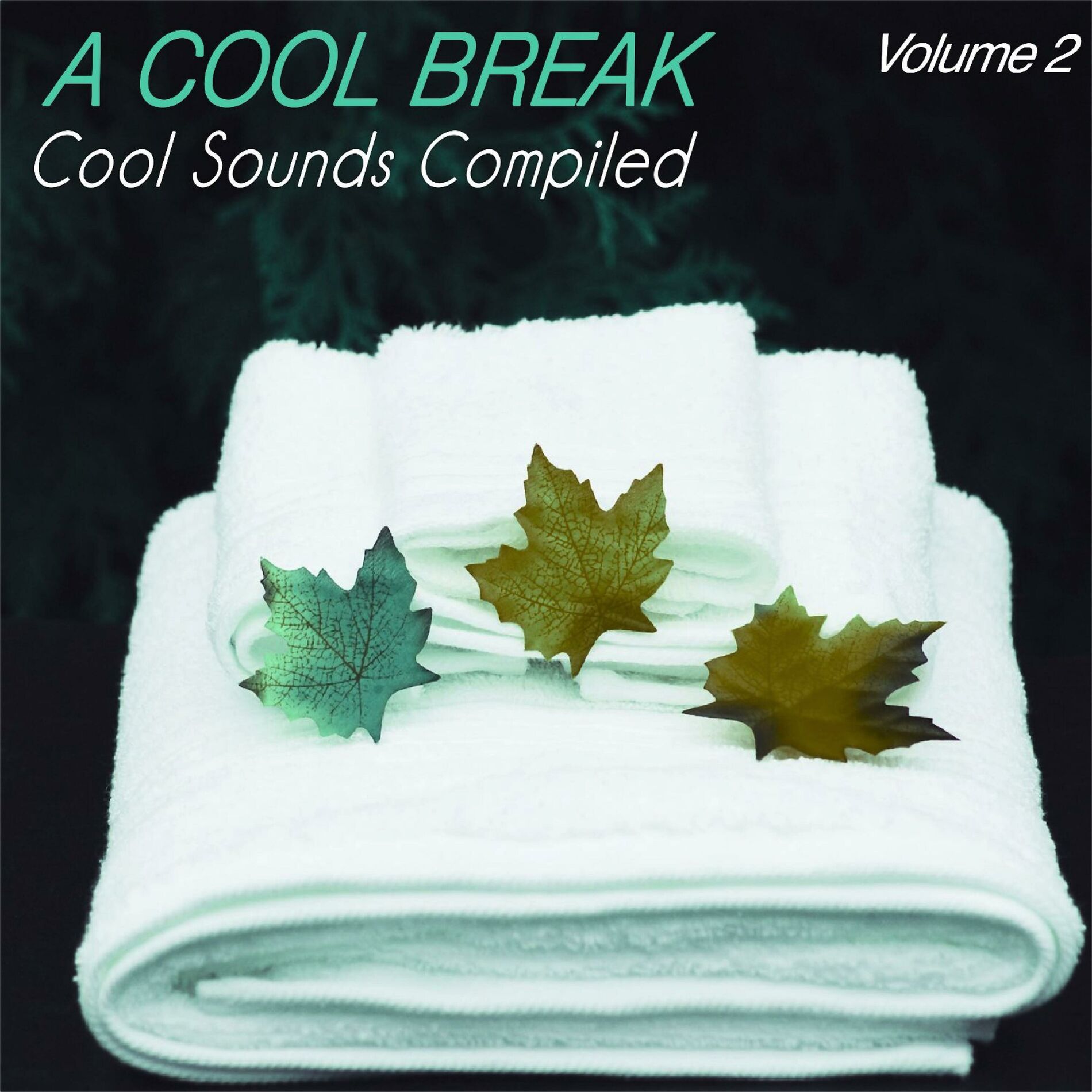 Album cover of A Cool Break, Vol.2 - Cool Sounds Compiled (Album)