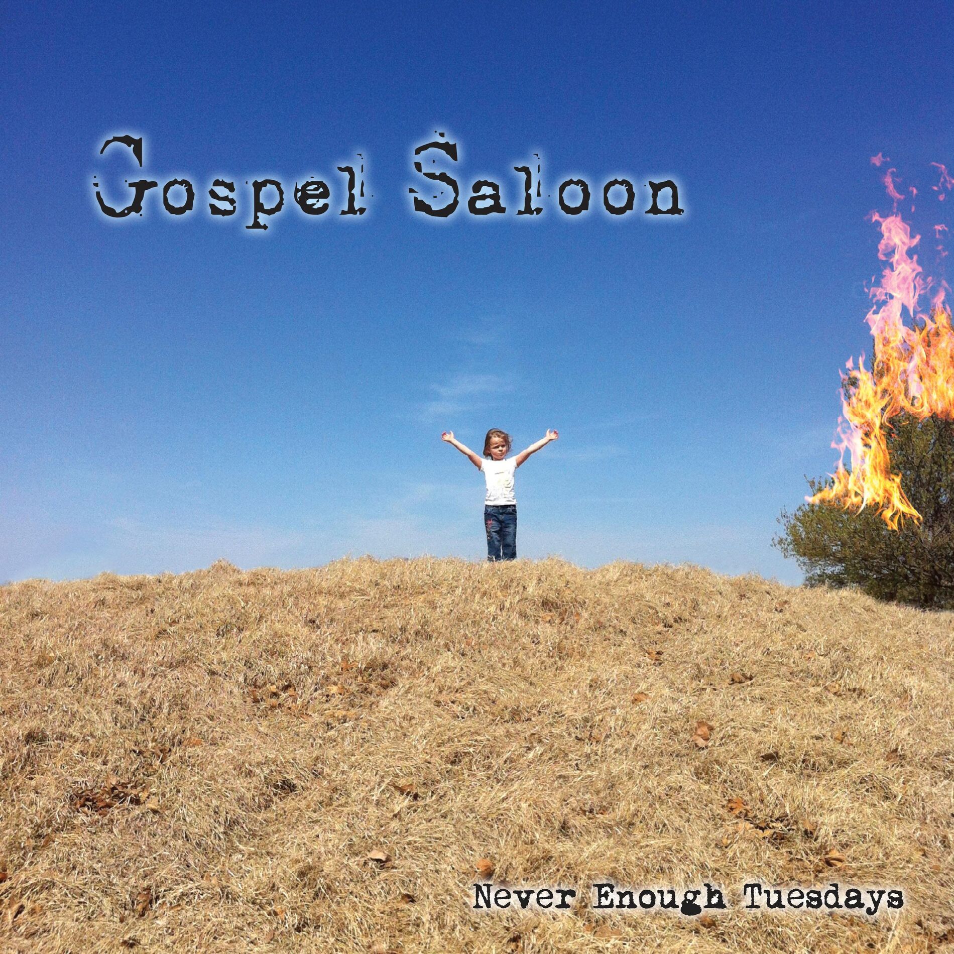 Album cover of Narrow Gate
