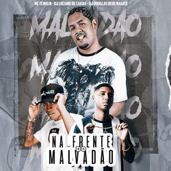 Cover of Na Frente do Malvadão