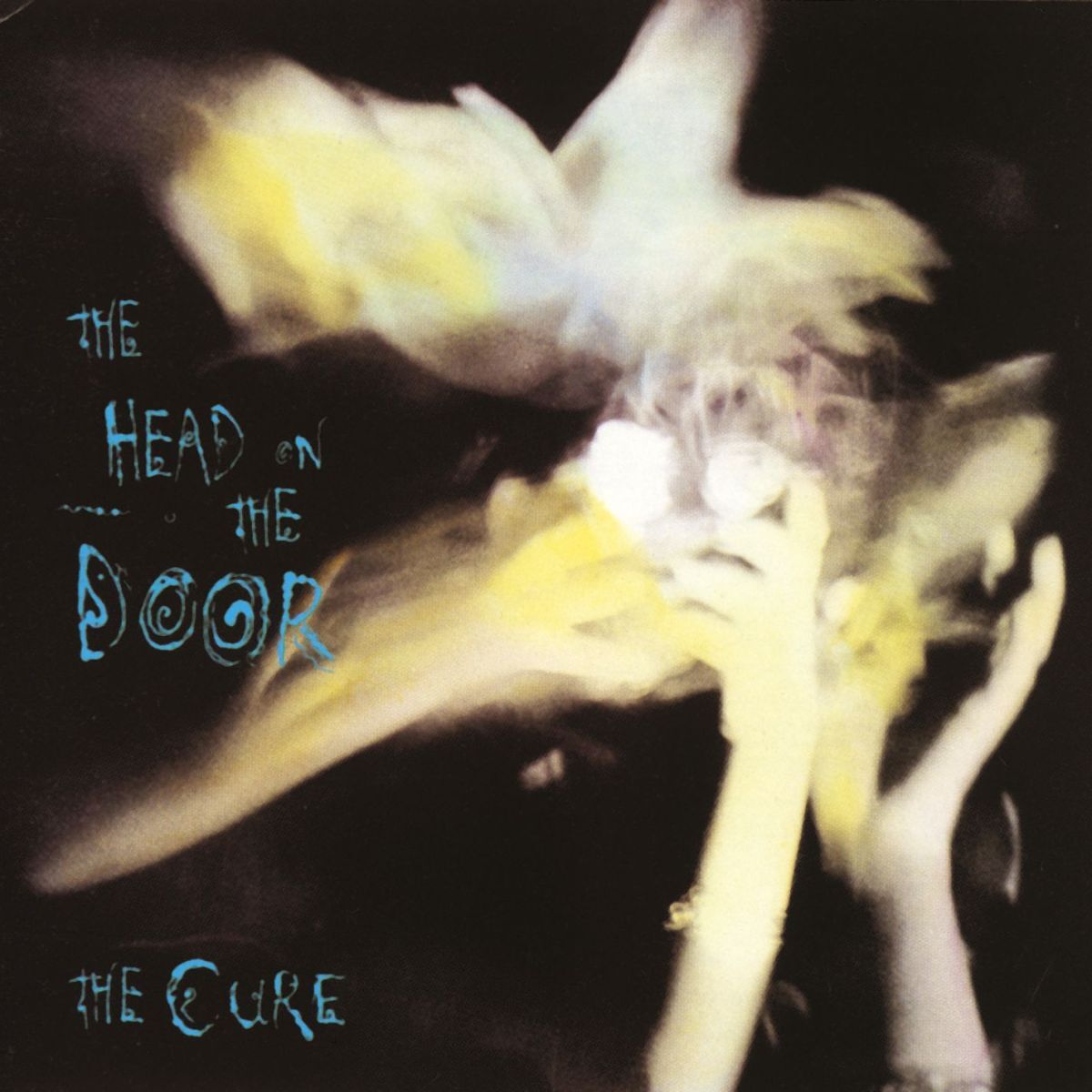Album cover of The Head on the Door