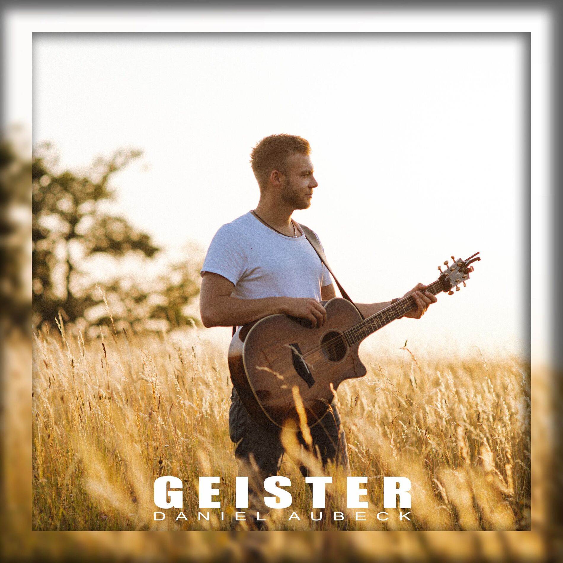 Album cover of Geister