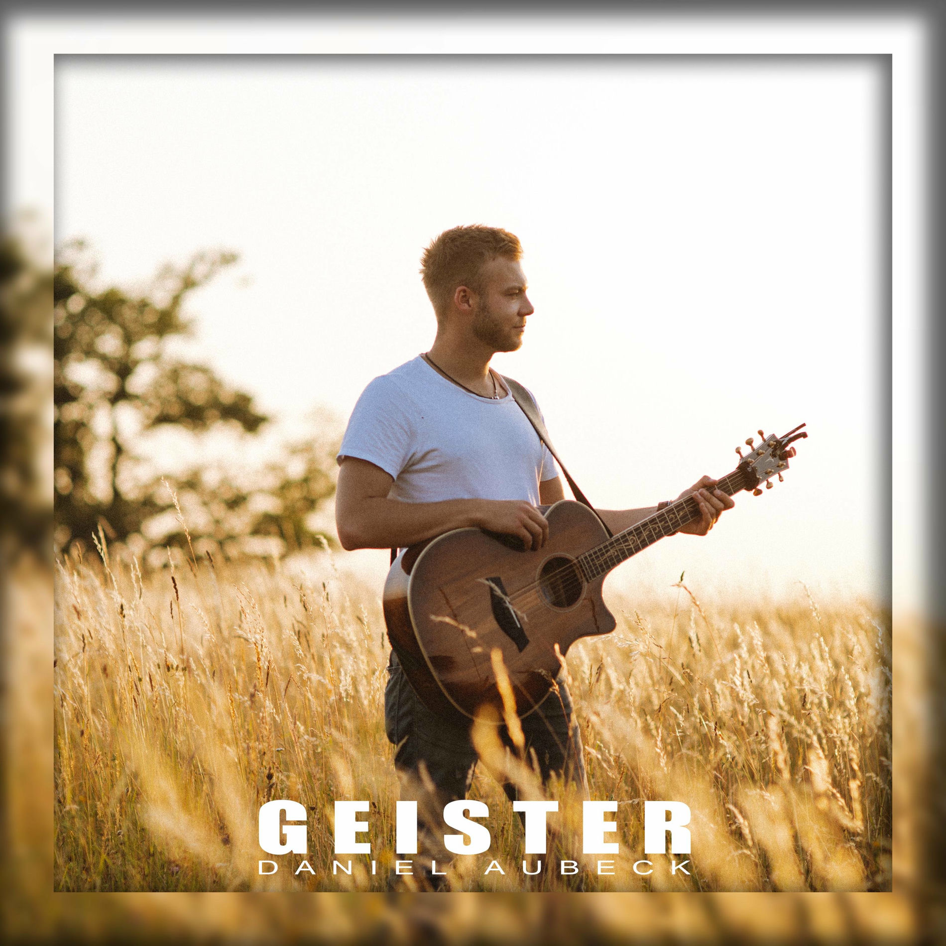 Album cover of Geister