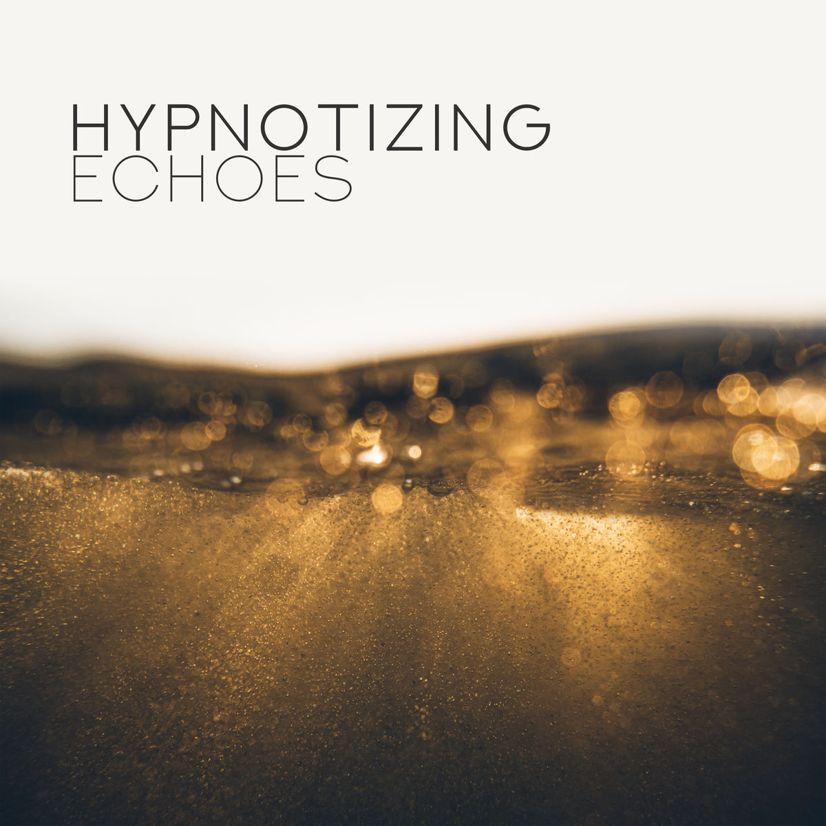 Album cover of Hypnotizing Echoes