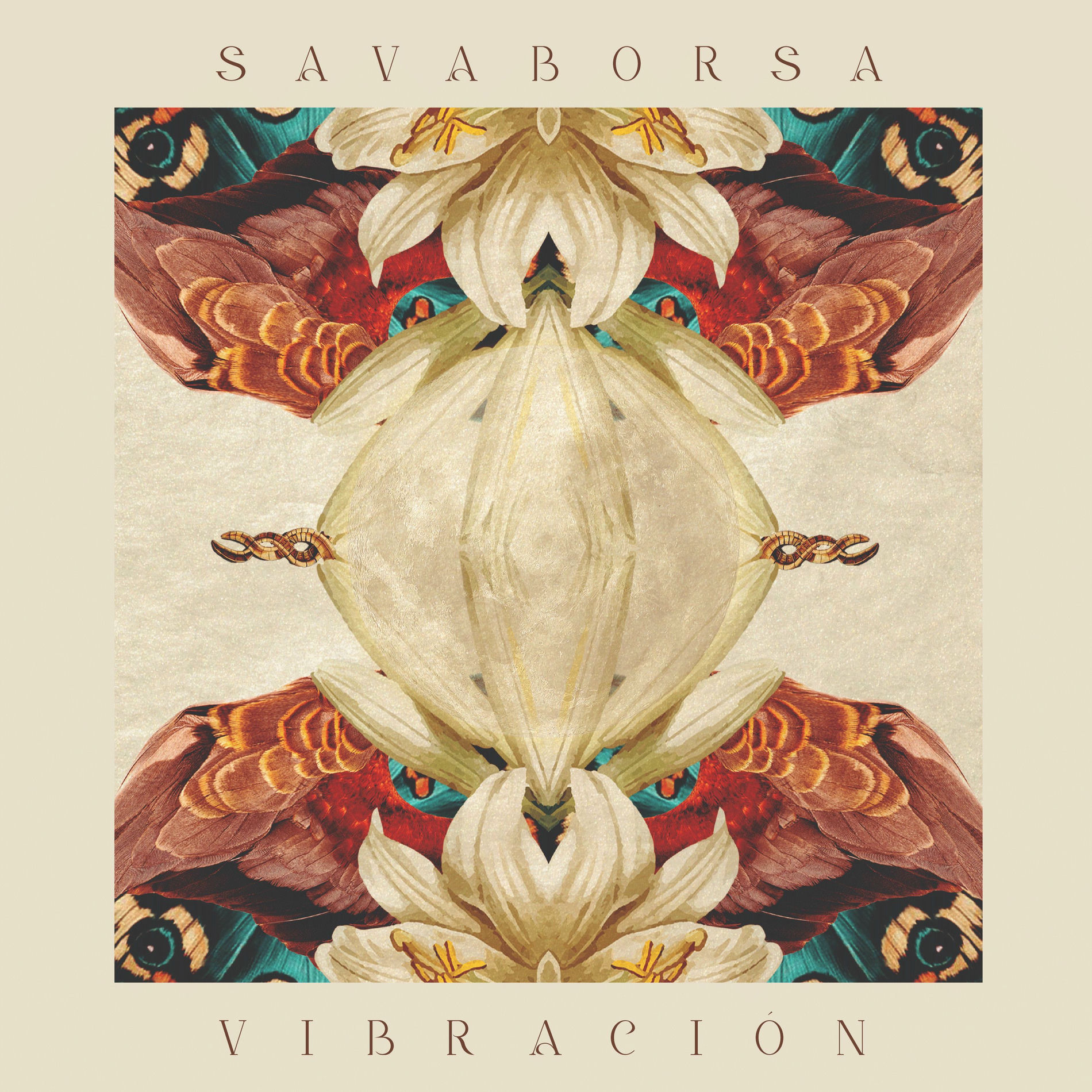 Album cover of Vibración